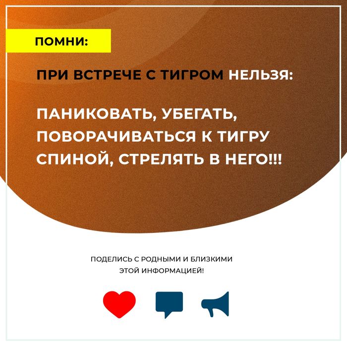 что делать при встрече с тигром. Смотреть фото что делать при встрече с тигром. Смотреть картинку что делать при встрече с тигром. Картинка про что делать при встрече с тигром. Фото что делать при встрече с тигром
