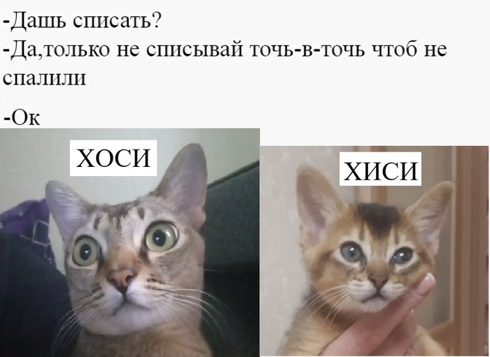 Плогиат