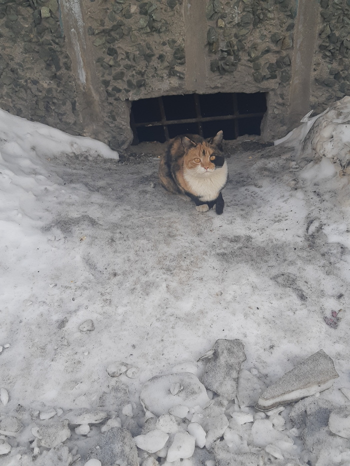 ��������� ���������