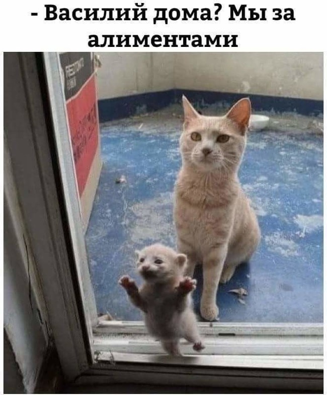 Вот такая жизнь!