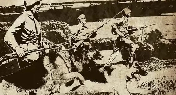 Hand-to-hand attack of border guards with dogs. Unequal battle 1941 - The Great Patriotic War, Dog, People, Heroes, Longpost, Video