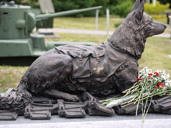 Hand-to-hand attack of border guards with dogs. Unequal battle 1941 - The Great Patriotic War, Dog, People, Heroes, Longpost, Video