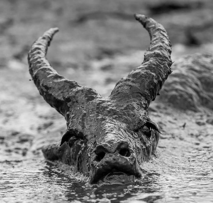 ������...