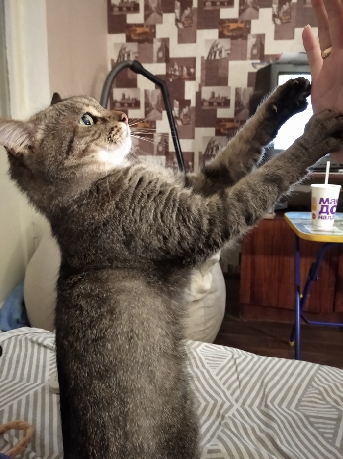 ��������