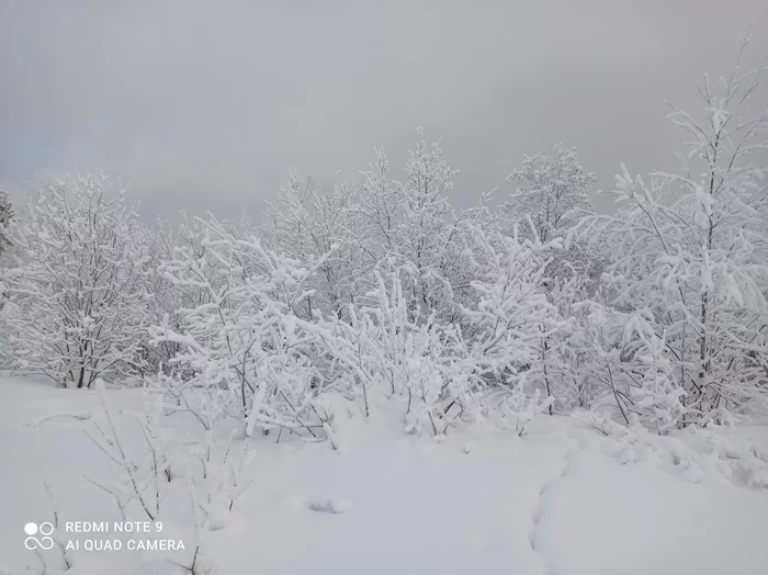 Northern beauty... - Longpost, beauty of nature, Nature, Winter, My