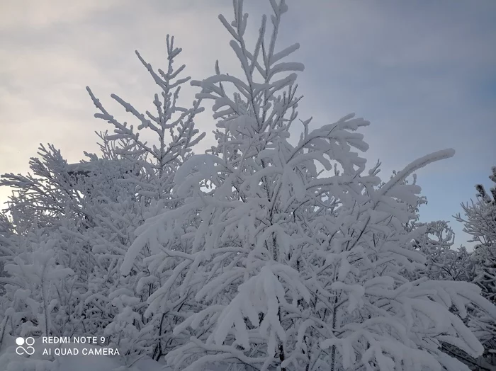 Northern beauty... - Longpost, beauty of nature, Nature, Winter, My