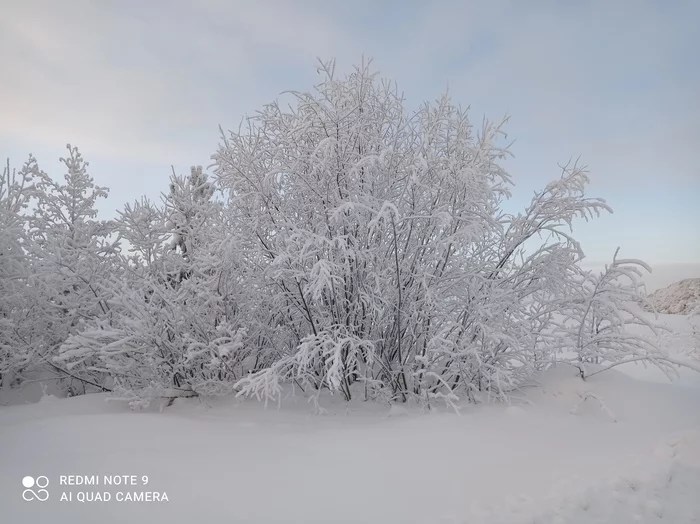 Northern beauty... - Longpost, beauty of nature, Nature, Winter, My
