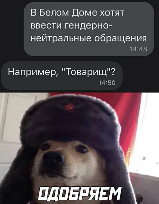 ������� ���