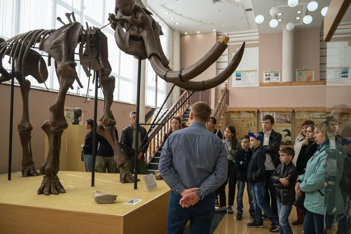 Khazar mammoth from the Ufa Museum - My, Paleontology, Mammoth, Find, Museum, Bashkortostan, Ural, Fossil, Longpost