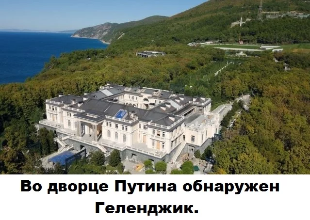 New investigation - Picture with text, Humor, Gelendzhik, Navalny's investigation - palace in Gelendzhik, Detection, Russia, Politics