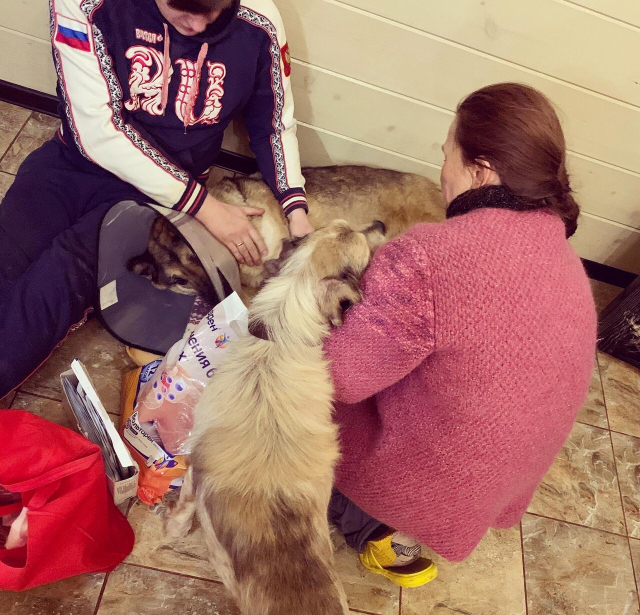 Continuation of the post “How we saved a pet dog on New Year’s Day that had fallen into a trap and was no longer needed by its owners” - My, Dog, Kindness, New Year, Winter, Cold, Hunger, Animal Rescue, Volunteering, Trap, Veterinary, Video, Reply to post, Longpost