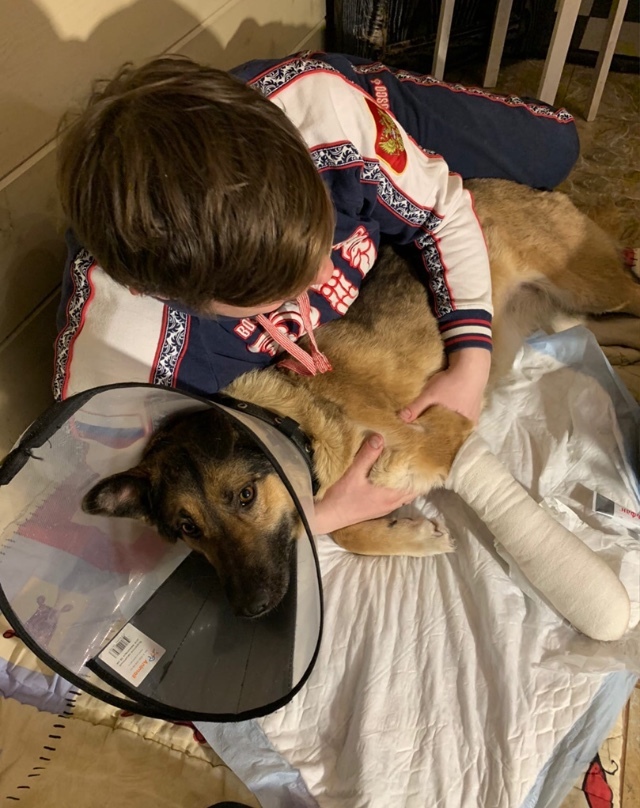 Continuation of the post “How we saved a pet dog on New Year’s Day that had fallen into a trap and was no longer needed by its owners” - My, Dog, Kindness, New Year, Winter, Cold, Hunger, Animal Rescue, Volunteering, Trap, Veterinary, Video, Reply to post, Longpost