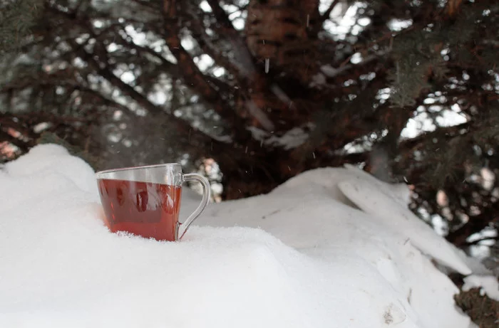 Tea in the snow - Tea, Winter, Snow, Longpost, I want criticism, The photo, My