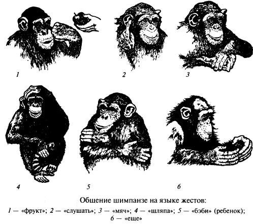 Парадокс Тесея против Трансгуманизма/Перенос сознания и объективность - Моё, Трансгуманизм, Сознание, Эволюция, Объективность, Перенос сознания, Длиннопост