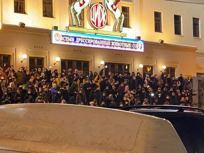 Ironic - Politics, Alexey Navalny, Russia, Rally