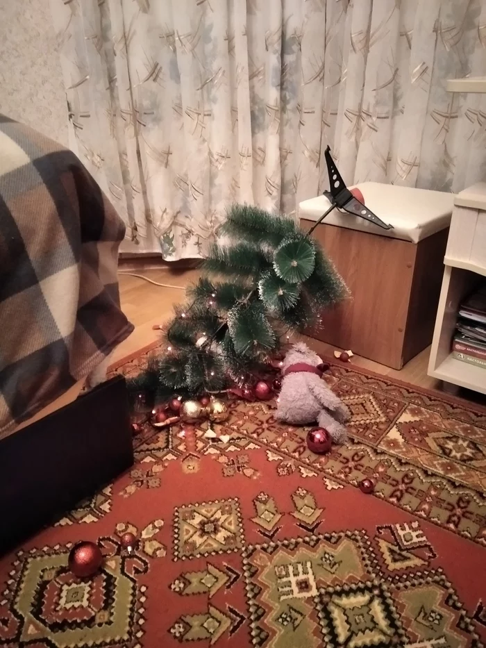 Christmas tree... - My, cat, Paws, Christmas trees, Story, Shkodnik, End, New Year, Longpost