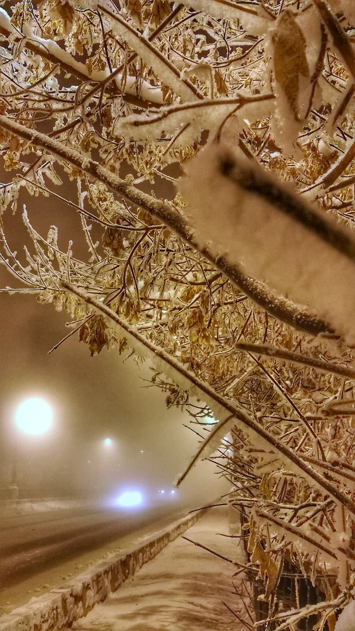 Зимний вечер