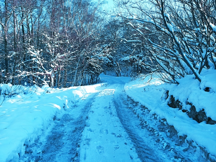 ������� ������ � ����