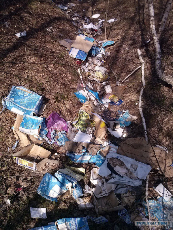 Поступление в вуз 2021, часть 1. Введение, подача документов