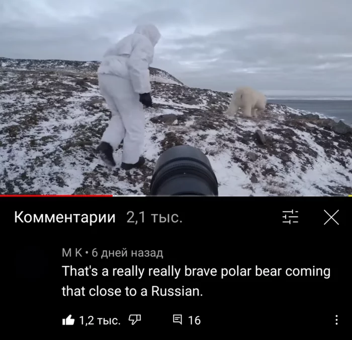 Reply to the post “Comment on YouTube)” - Comments, Youtube, Fun, Reply to post, The Bears, Polar bear, Russians