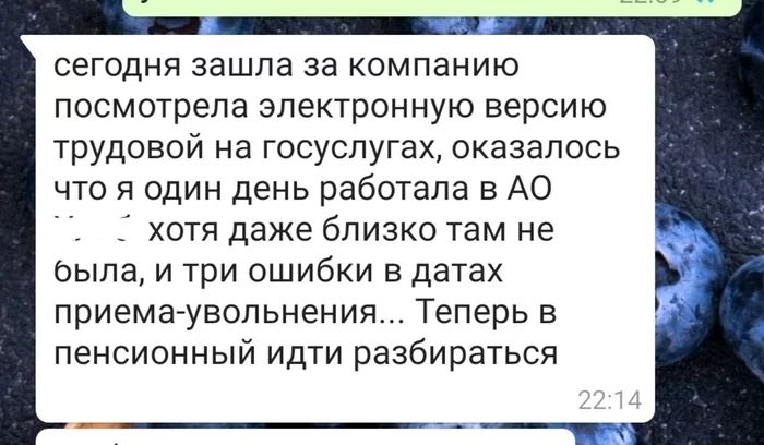 Наступила эра электронных трудовых книжек - Моё, Трудовая книжка, Ошибка, Госуслуги, Пенсионный фонд