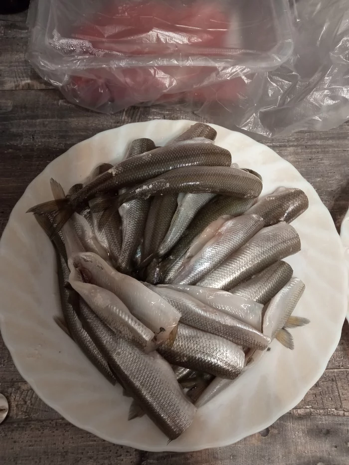 Delicious Brag Post - My, Smelt, Cooking, Boasting, Longpost, Food