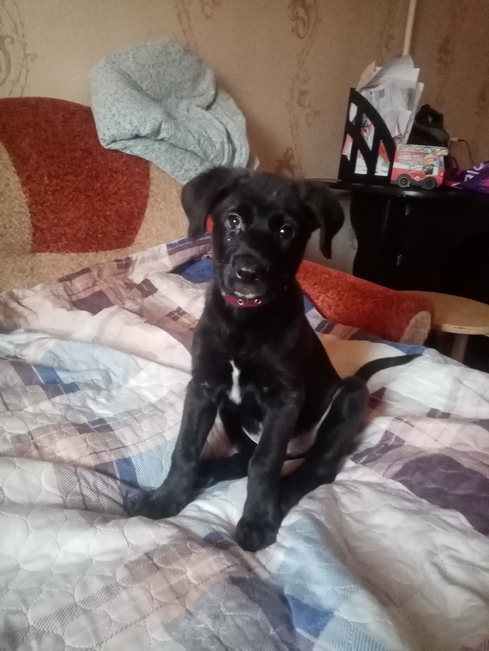 ��� ���� ��� �� ������ ��������