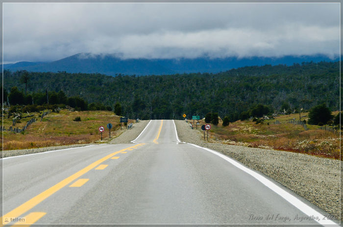 "В глущобу путь его лежит..."