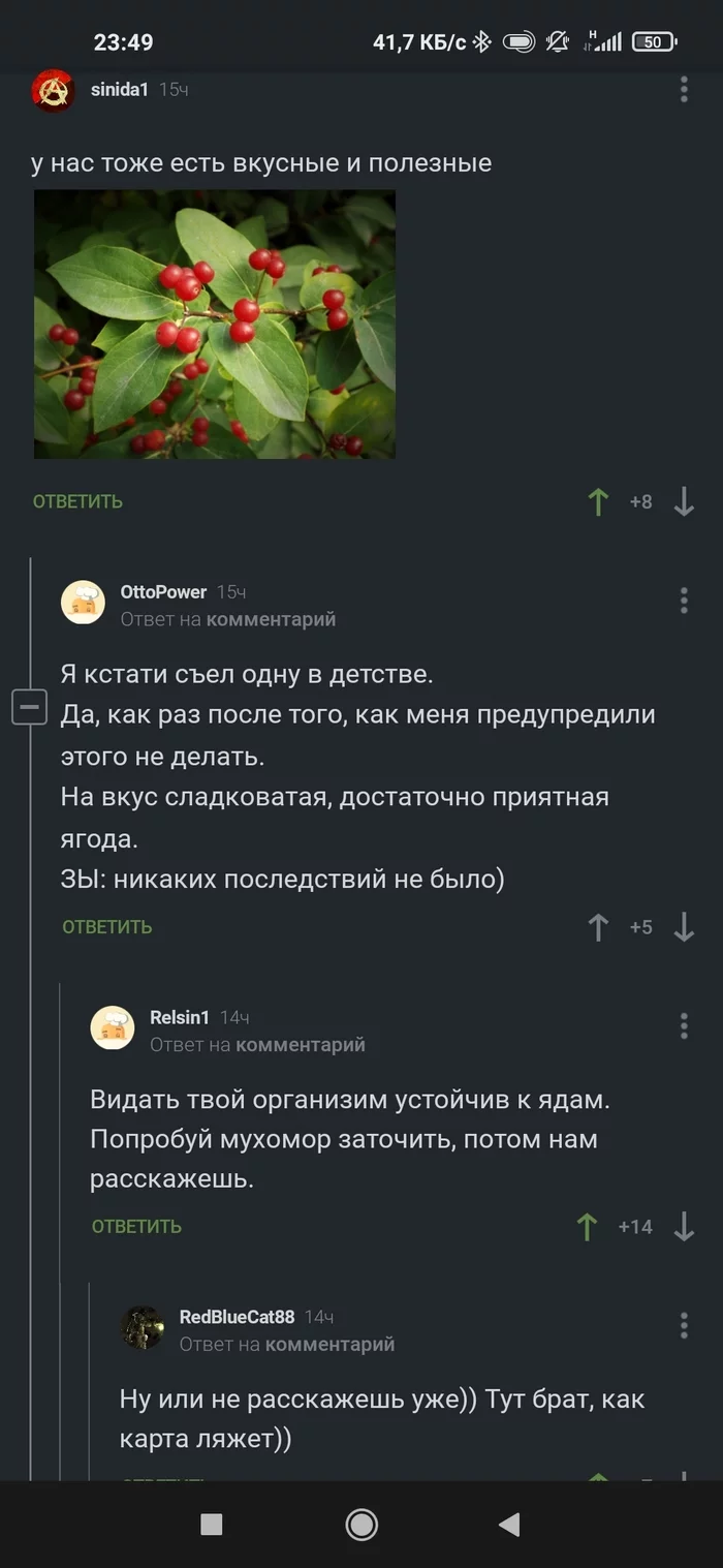 Комментарий к посту про экзотические фрукты - Комментарии на Пикабу, Юмор, Длиннопост, Скриншот, Волчья ягода, Яд