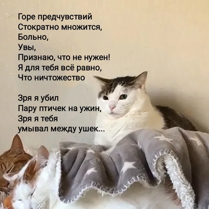 M - Mayakotsky - My, cat, Love, Poems, Longpost, Vladimir Mayakovsky