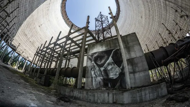 Black mushrooms of Chernobyl: unidentified life created by radiation - Chernobyl, Biology, Mushrooms, Longpost