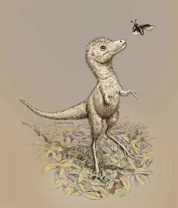     ,  , , , 
