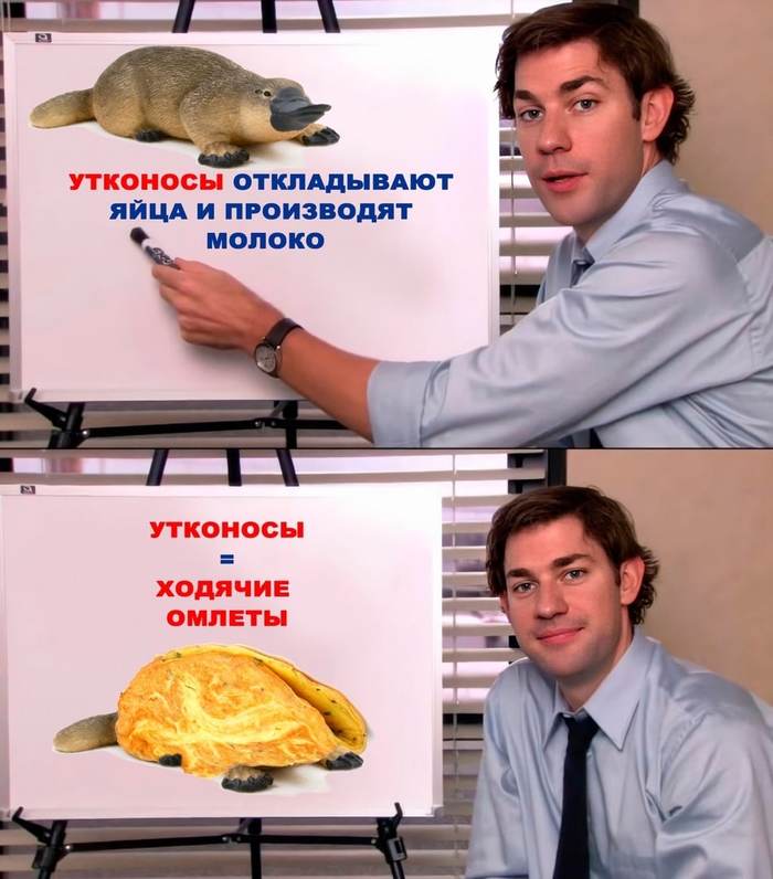  :   ,  