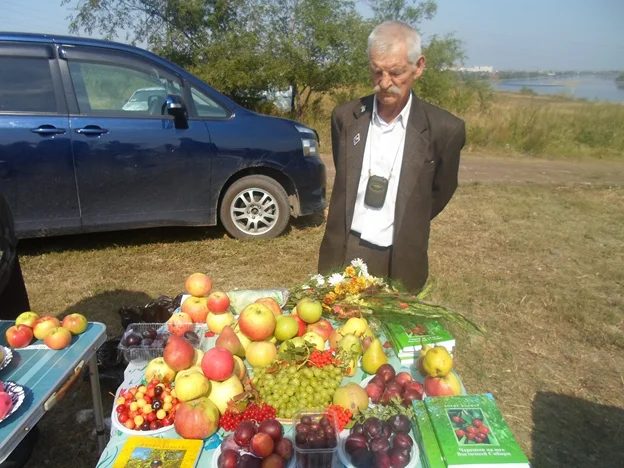 The last bow from the legendary man. My memories are dedicated to the memory of a friend - My, Gardening, Gardener, Dacha, Сельское хозяйство, Cherries, Siberia, Harvest, Video, Longpost, Obituary