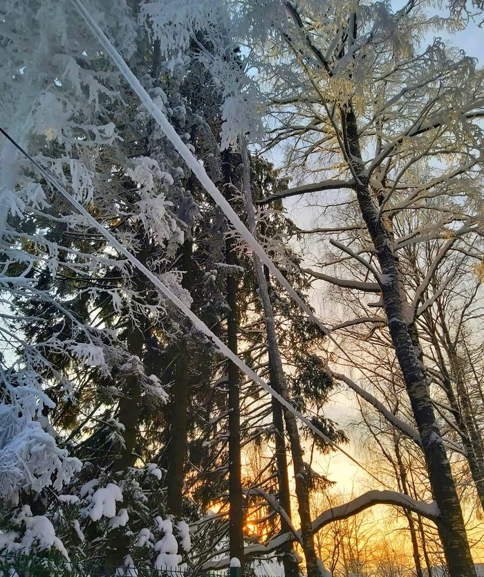 Frosts - My, freezing, Winter, Cold, Syktyvkar, January, Komi, Nature, Russia