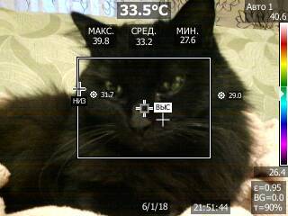 Kripokat. I also want to share my cat - My, cat, Thermal imager, Longpost