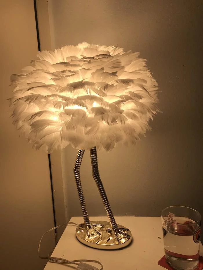 There's something about it... - Лампа, Desk lamp, Feathers, Ostrich, From the network