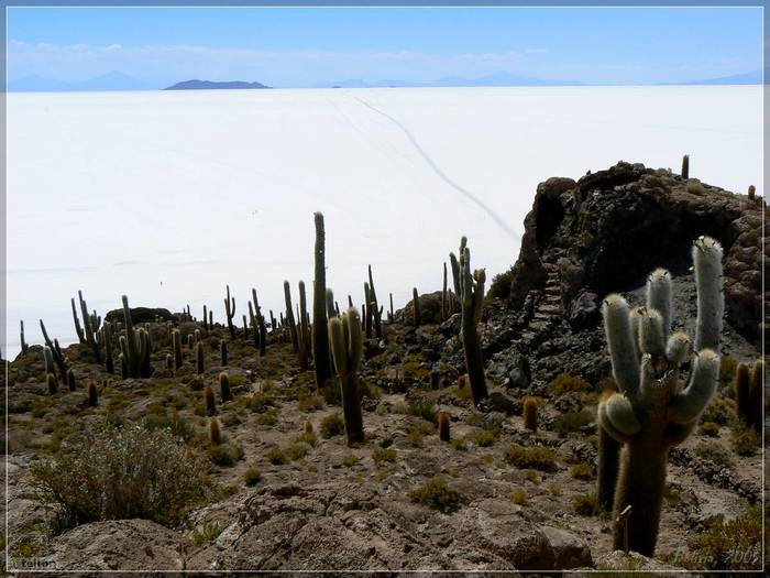 Reply to the post Once these rocks were the seabed - My, The photo, The mountains, Tourism, Nature, Landscape, Bolivia, Coral, Cactus, , Uyuni Salt Flats, Reply to post, Longpost