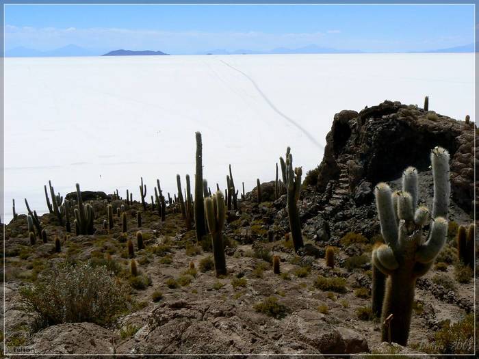 Reply to the post “These rocks were once the seabed” - My, The photo, The mountains, Tourism, Nature, Landscape, Bolivia, Coral, Cactus, Uyuni Salt Flats, Reply to post, Longpost