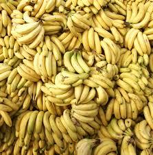 What is Banana Republic? - My, Politics, Russia, Capitalism, Greatness, Democracy, Dictatorship, Leader, Mat, Longpost