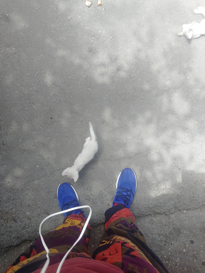    , , , -, 