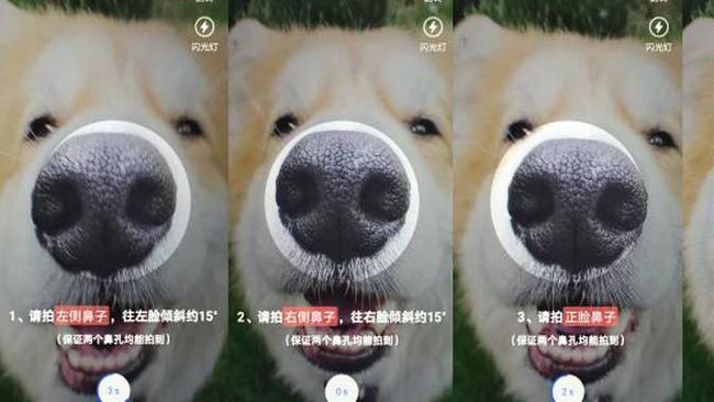 В Китае у собак появились удостоверения личности с отпечатком носа Собака, Нос, Китай, Технологии