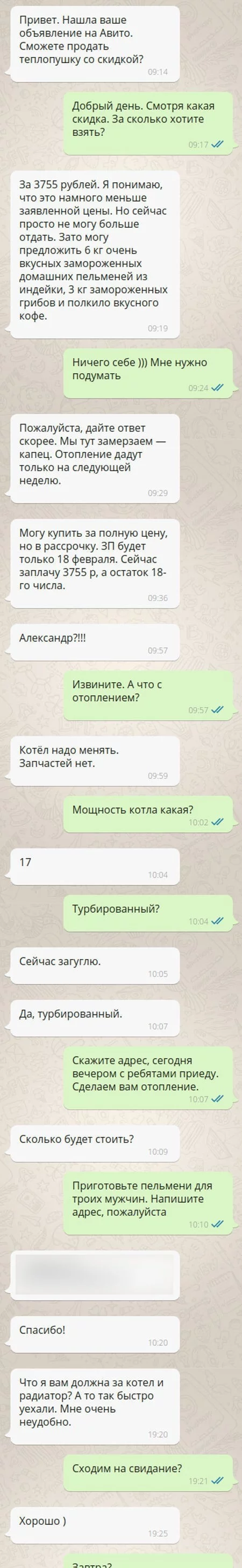 Девушка захотела скидку на тепловую пушку, но всё пошло не по плану - Переписка, Доброта, Тепловая пушка, Длиннопост