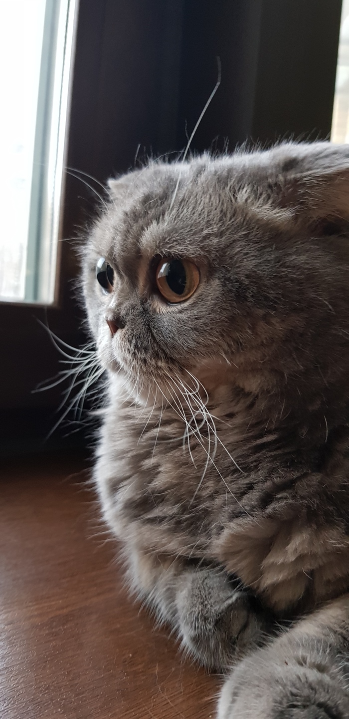    ,      , , , , 