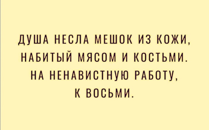 Несла душа - Работа мечты, Юмор