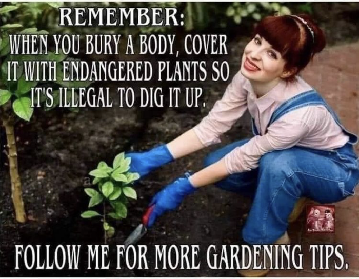  , 