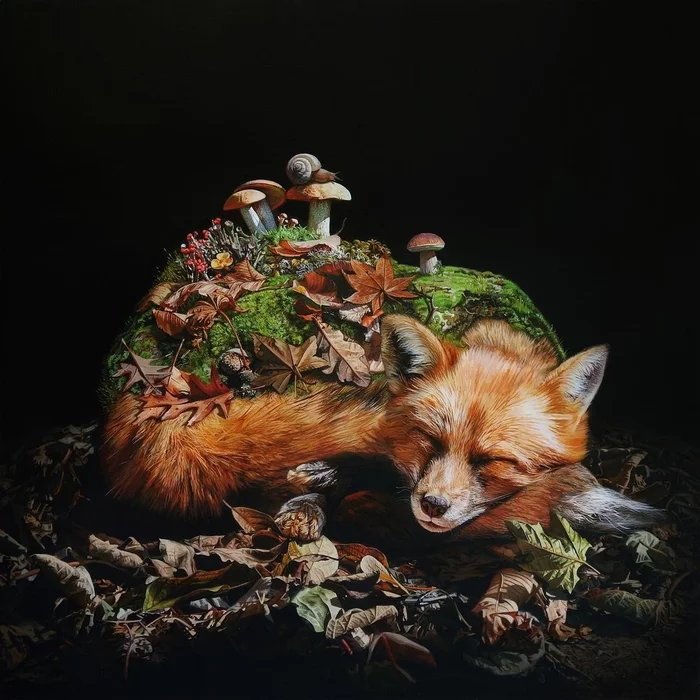 Wake me up when it's over - Art, Drawing, Fox, Hyperrealism