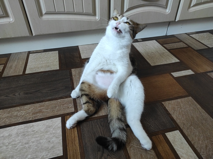 Удачный кадр