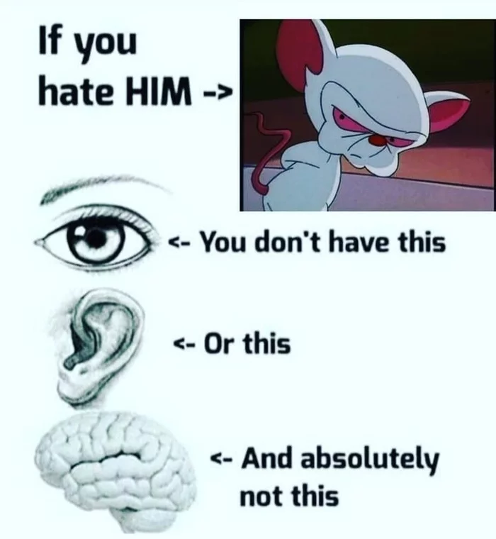 I love him so much! And will do it for eternity! - Pinky and Brain, Animated series, Steven Spielberg, Memes, Love, Hatred, Fictional characters, Mouse, Laboratory, Taking over the world