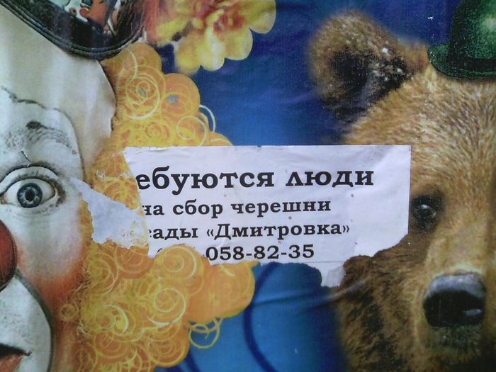 ��� ������ ���� �� ����������:)